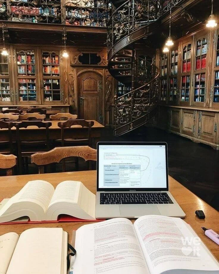 Law School Aesthetics: Designing the Ideal Study Environment 2024 3 law school library