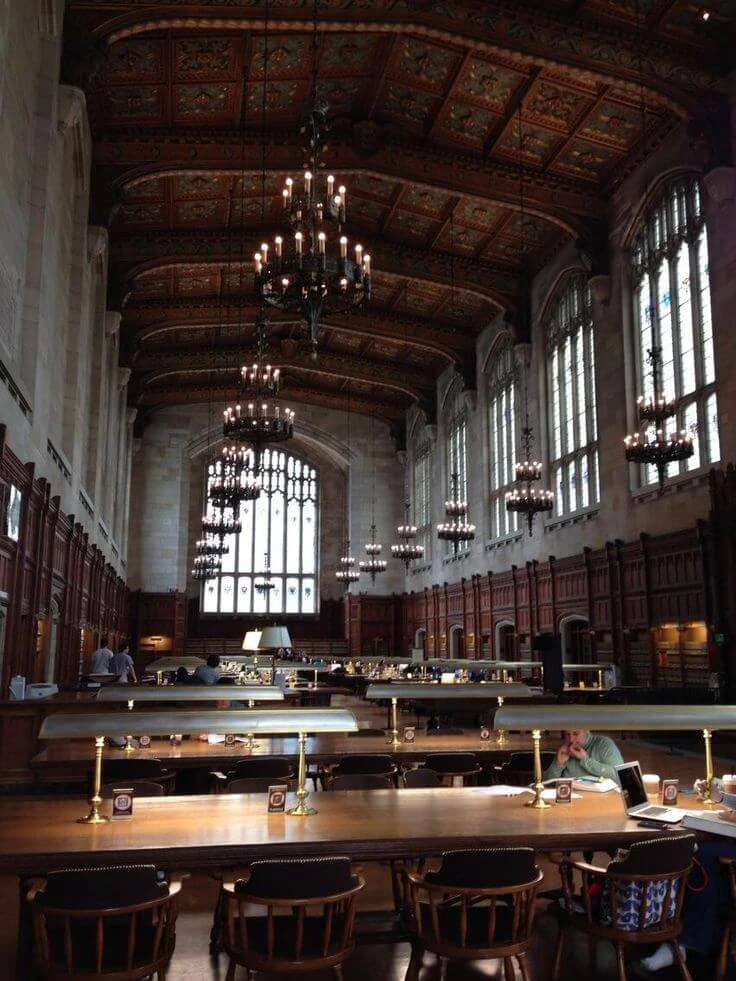 Law School Aesthetics: Designing the Ideal Study Environment 2024 4 law school aesthetic library